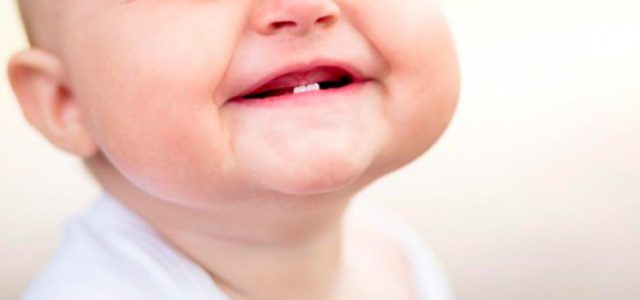 Dentición Etapas de la dentición