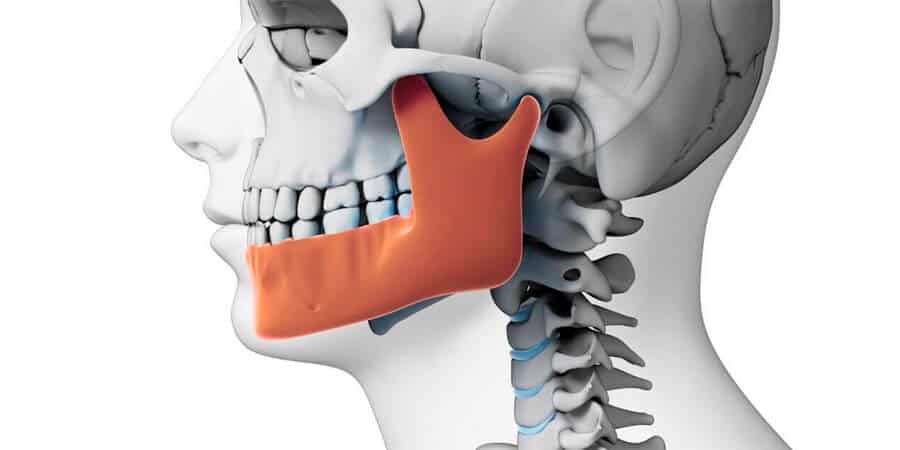 Articulacion Temporomandibular Wikipedia La Enciclopedia Libre