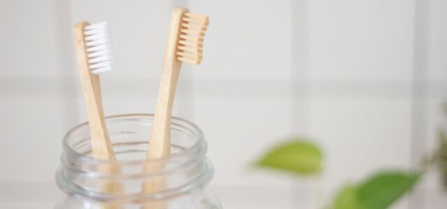 Cepillos de dientes naturales de bambú