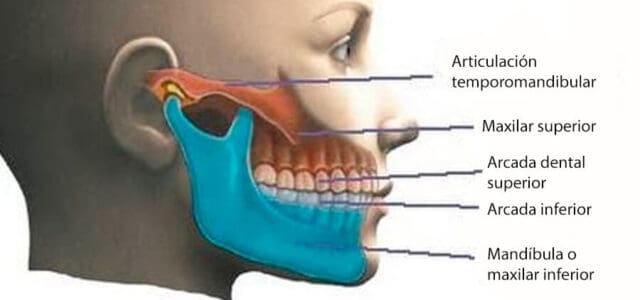Cirugía maxilofacial