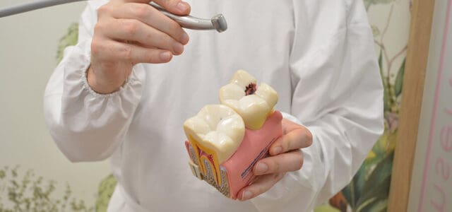 Endodoncia precio