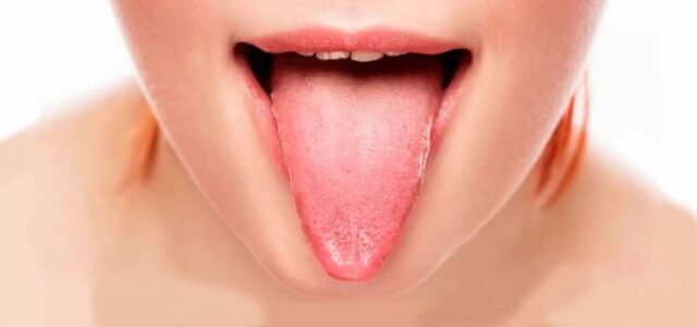 Funciones de las papilas gustativas Las papilas están en la lengua