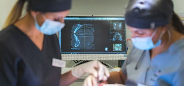 Colocación precisa de implantes dentales sin tornillos en Clínica Ferrus & Bratos Doctores con una paciente durante la colocación de implantes dentales sin tornillos.