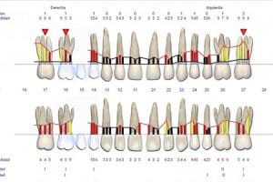 Periodontograma Sonda Florida