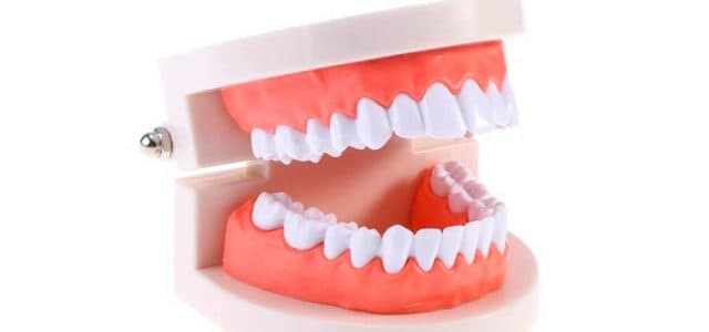 Dentadura permanente completa